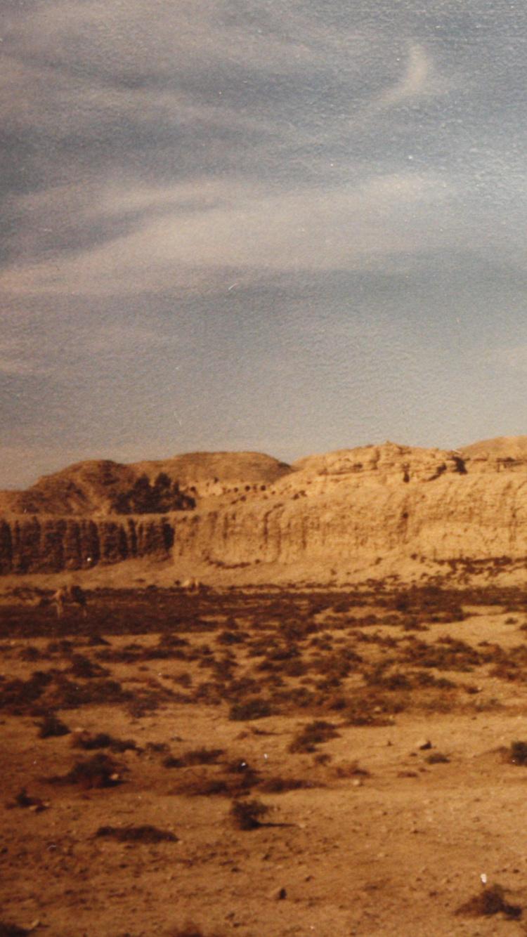 生态区, 荒地, Wadi, 地质学, 草原 壁纸 750x1334 允许