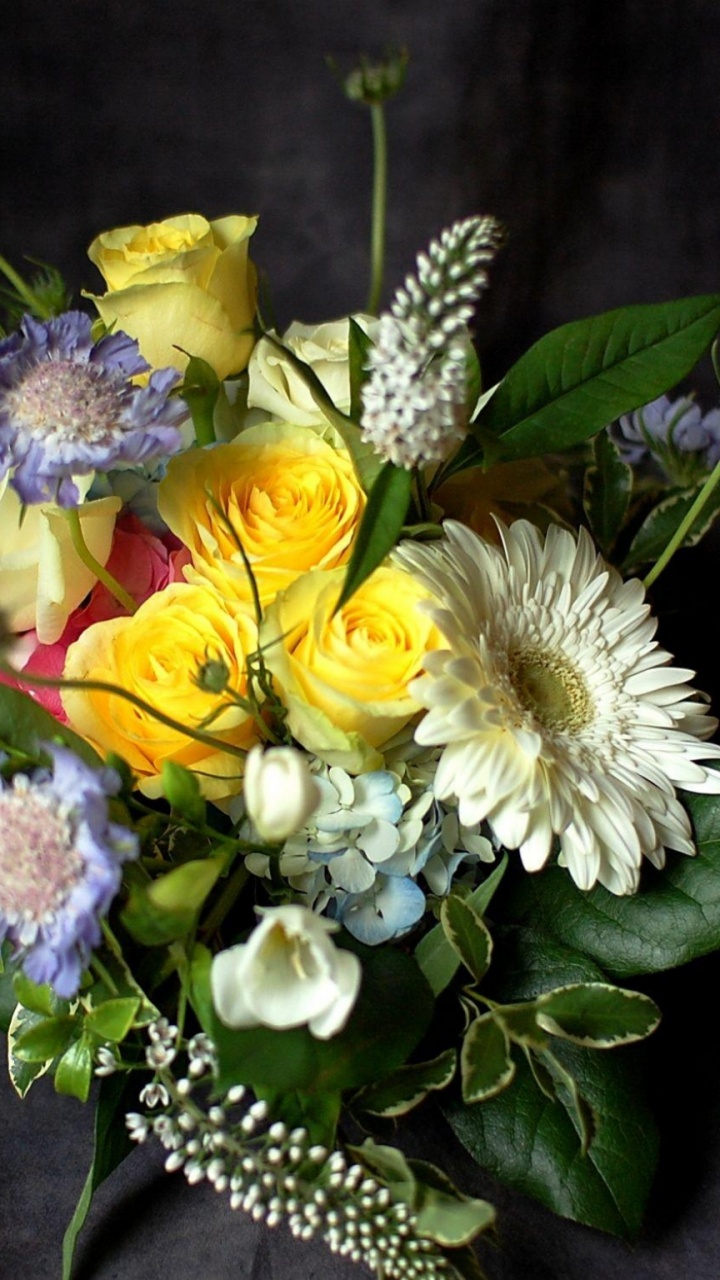 Gelbe Und Weiße Blüten Auf Grünen Blättern. Wallpaper in 720x1280 Resolution