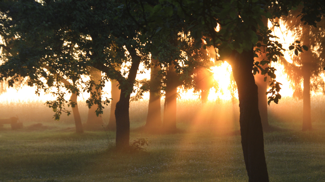 Femme Debout Sur le Terrain D'herbe Verte Pendant le Coucher du Soleil. Wallpaper in 1366x768 Resolution