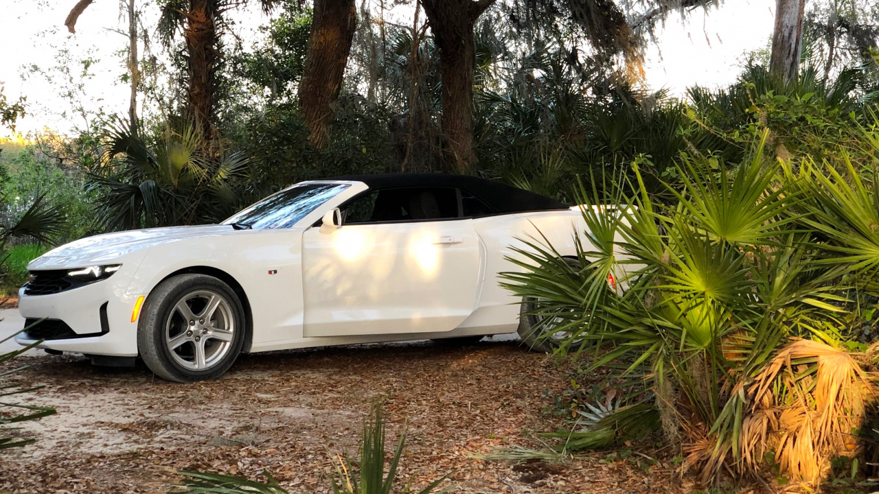 Rey, Auto Compacto, Neumatico, Llanta de Aleación, Exterior Del Automotor. Wallpaper in 1280x720 Resolution