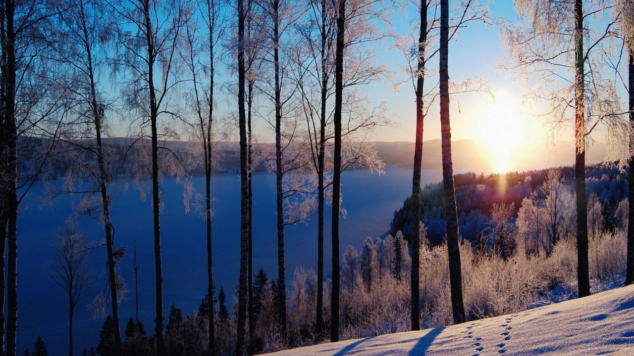 Snow Covered Road Between Trees During Daytime. Wallpaper in 1280x720 Resolution