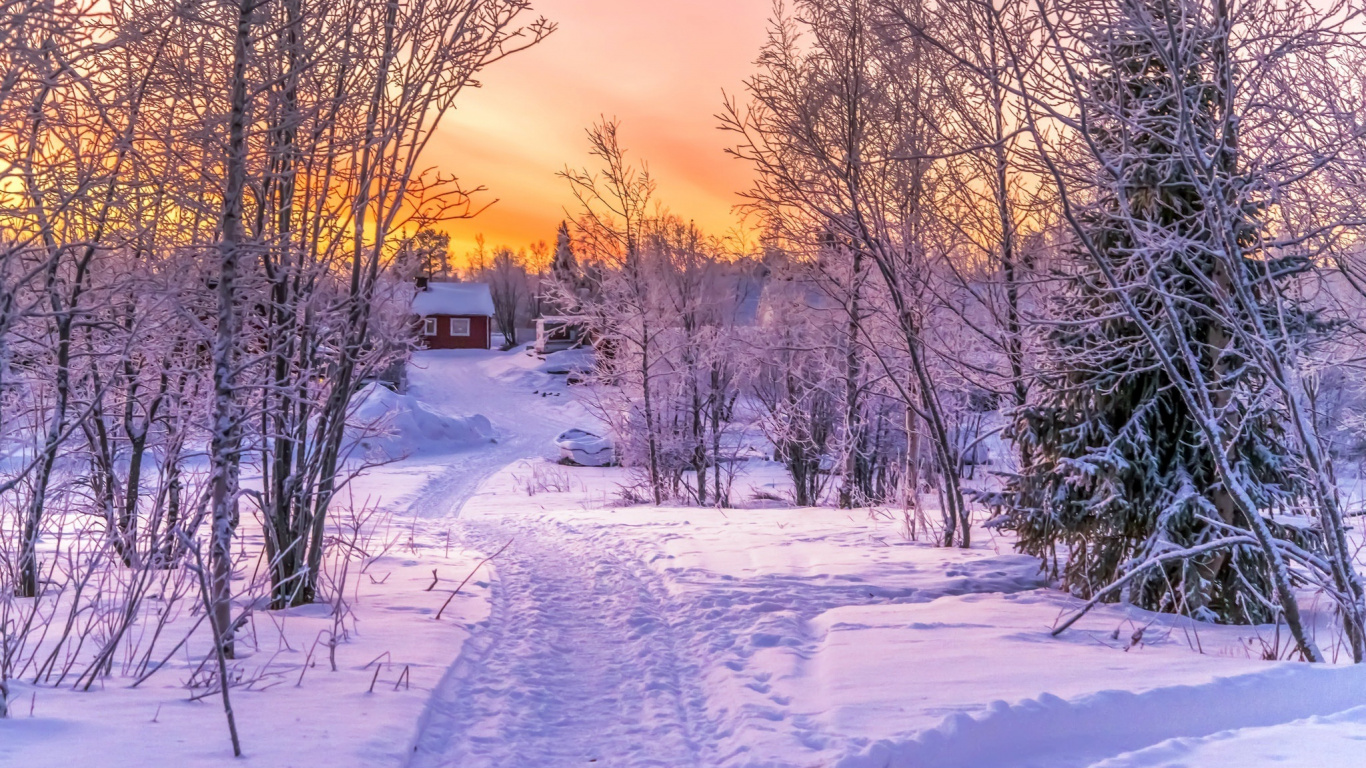 Schneebedeckte Straße Zwischen Kahlen Bäumen Bei Sonnenuntergang. Wallpaper in 1366x768 Resolution