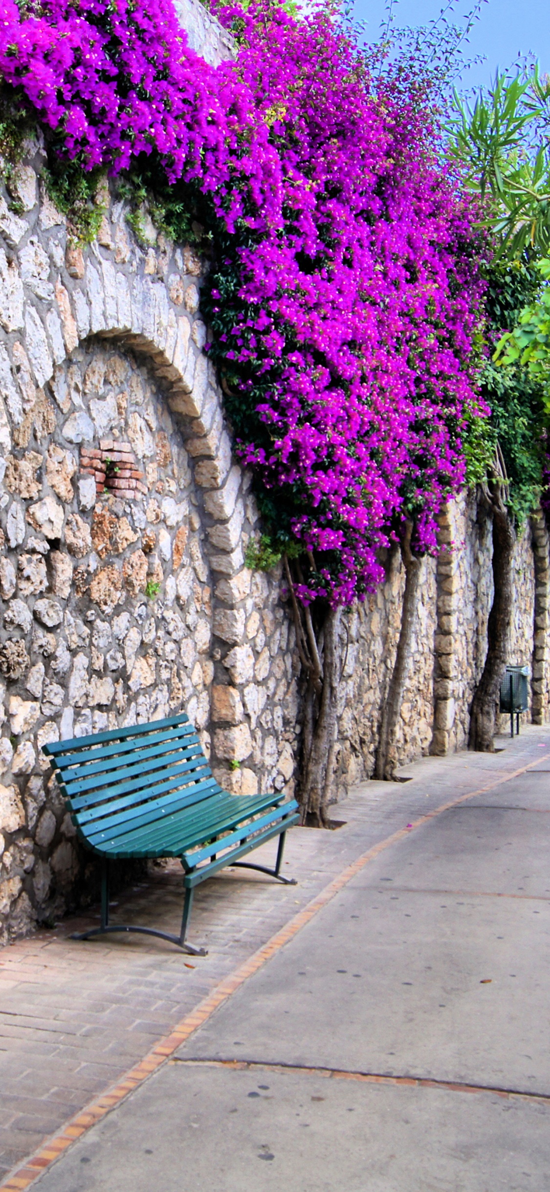 Blue Bench Beside Purple Flowers. Wallpaper in 1125x2436 Resolution