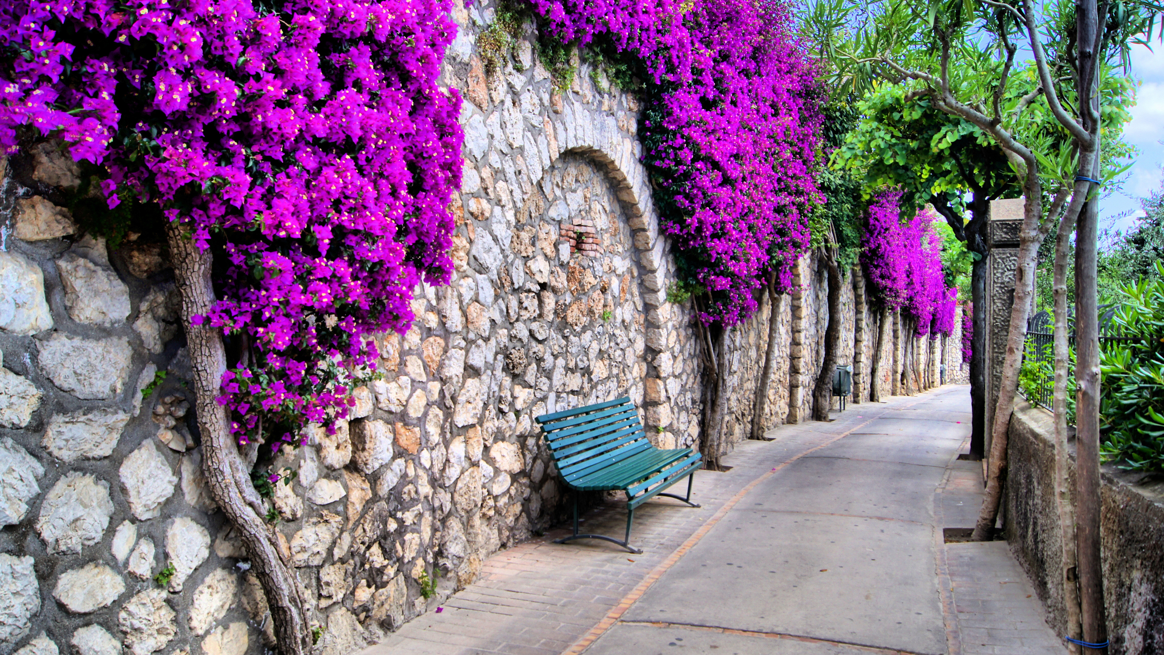 Blue Bench Beside Purple Flowers. Wallpaper in 3840x2160 Resolution