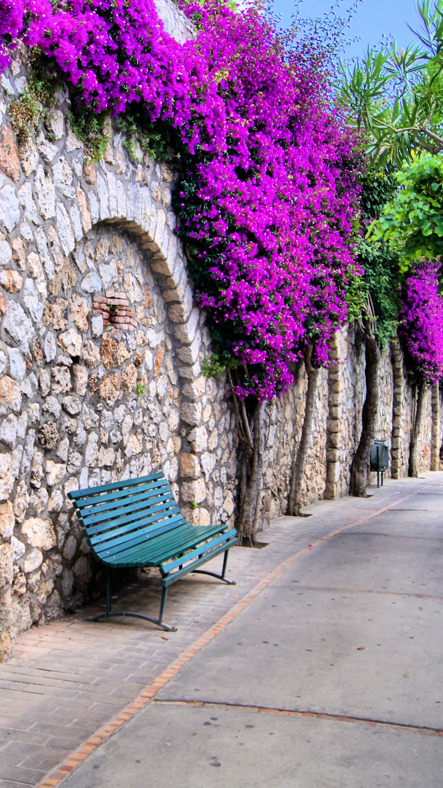 Banc Bleu à Côté de Fleurs Violettes. Wallpaper in 1440x2560 Resolution