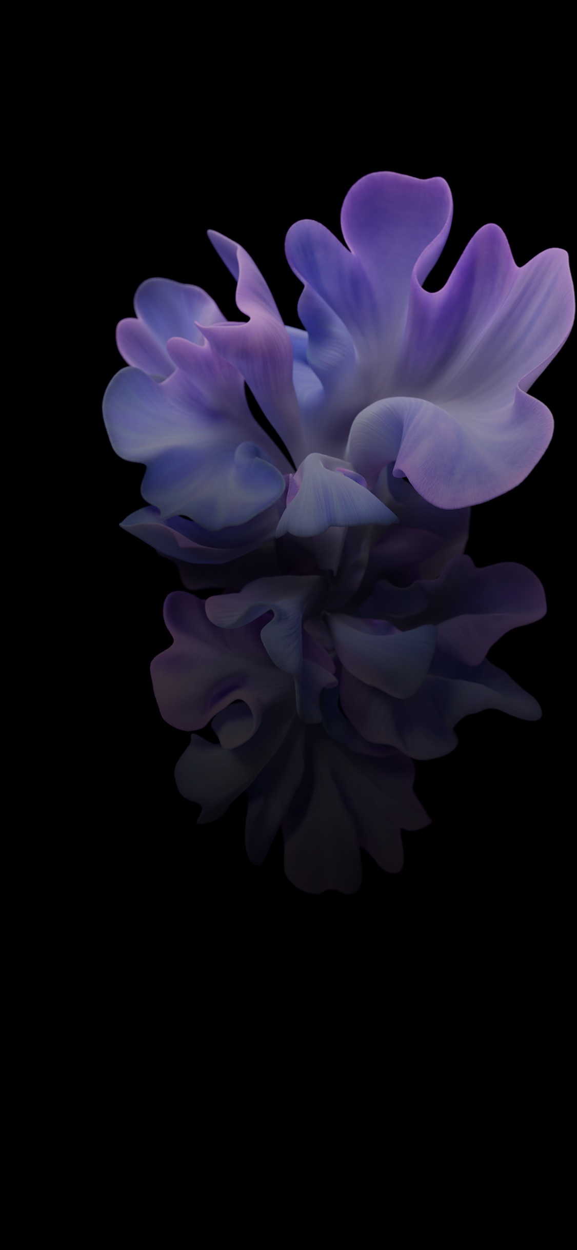 Samsung Galaxy, Samsung, Samsung Galaxy Z Flip, Smartphone, Smartphone Pliable. Wallpaper in 1125x2436 Resolution