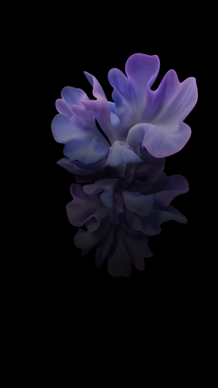 Samsung Galaxy, Samsung, Samsung Galaxy Z Flip, Smartphone, Teléfono Inteligente Plegable. Wallpaper in 750x1334 Resolution