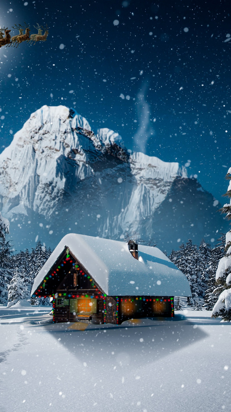 Snow, Plant, Atmosphere, World, Window. Wallpaper in 750x1334 Resolution