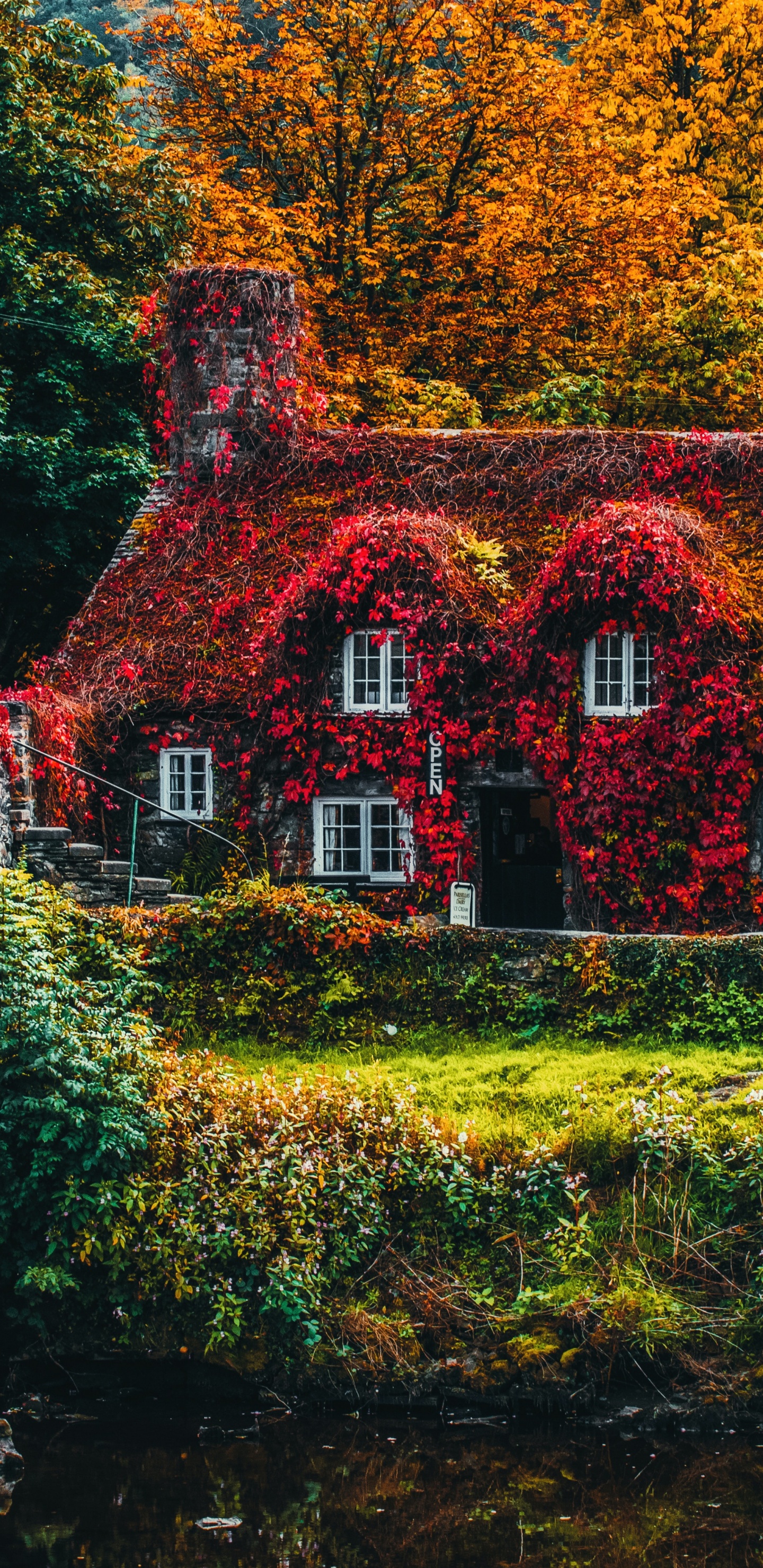 Paisaje Natural, Ventana, Entorno Natural, Sucursal, la Luz Del Sol. Wallpaper in 1440x2960 Resolution