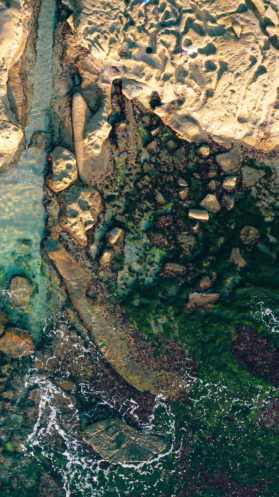 Bedrock, Camouflage, Body of Water, Wood, Watercourse. Wallpaper in 1080x1920 Resolution