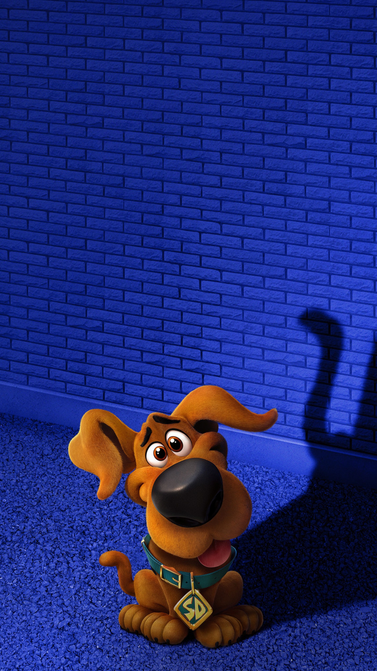 Scooby Doo, Velma Dinkley, Warner Bros Images, Animation, Blue. Wallpaper in 750x1334 Resolution