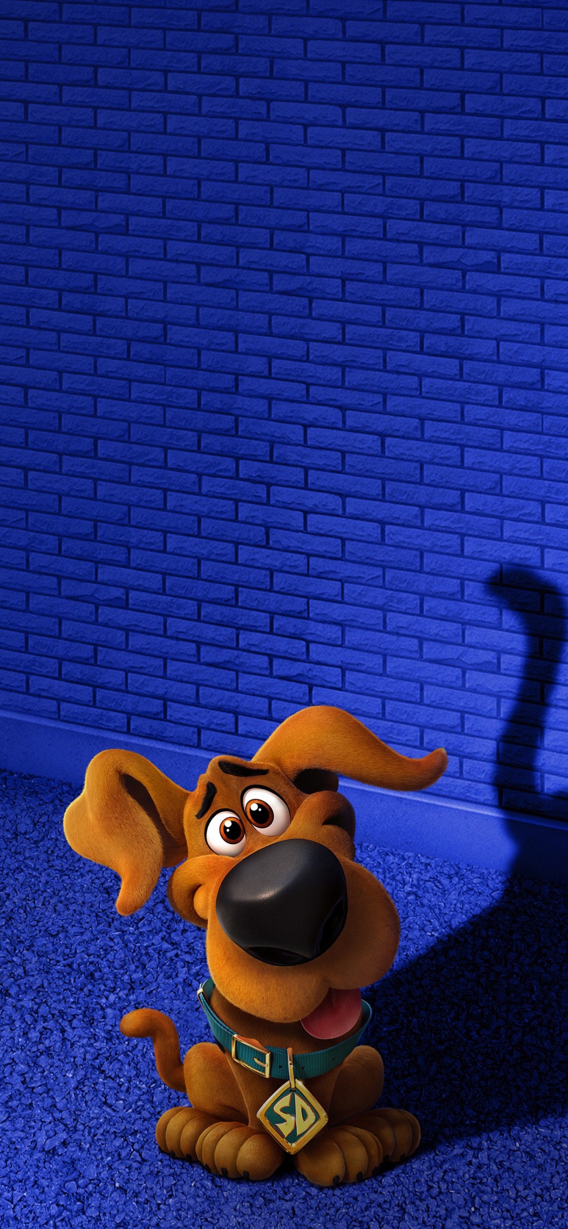 Scooby Doo, Velma Dinkley, Warner Bros Pictures, Animation, Blue. Wallpaper in 1125x2436 Resolution