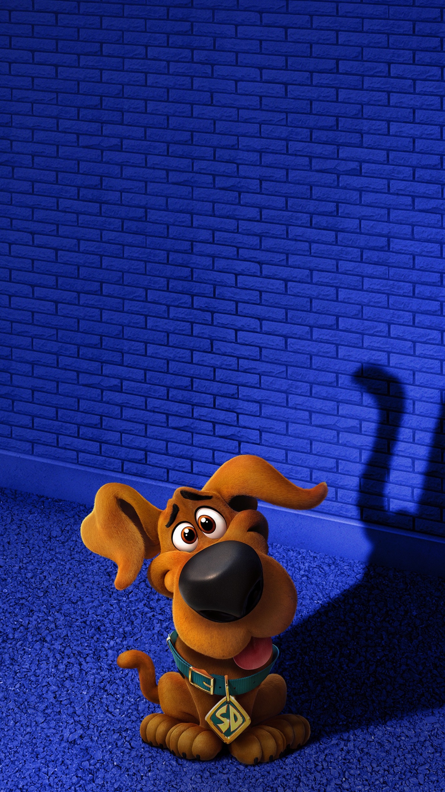 Scooby Doo, Velma Dinkley, Warner Bros Pictures, Animation, Blue. Wallpaper in 1440x2560 Resolution