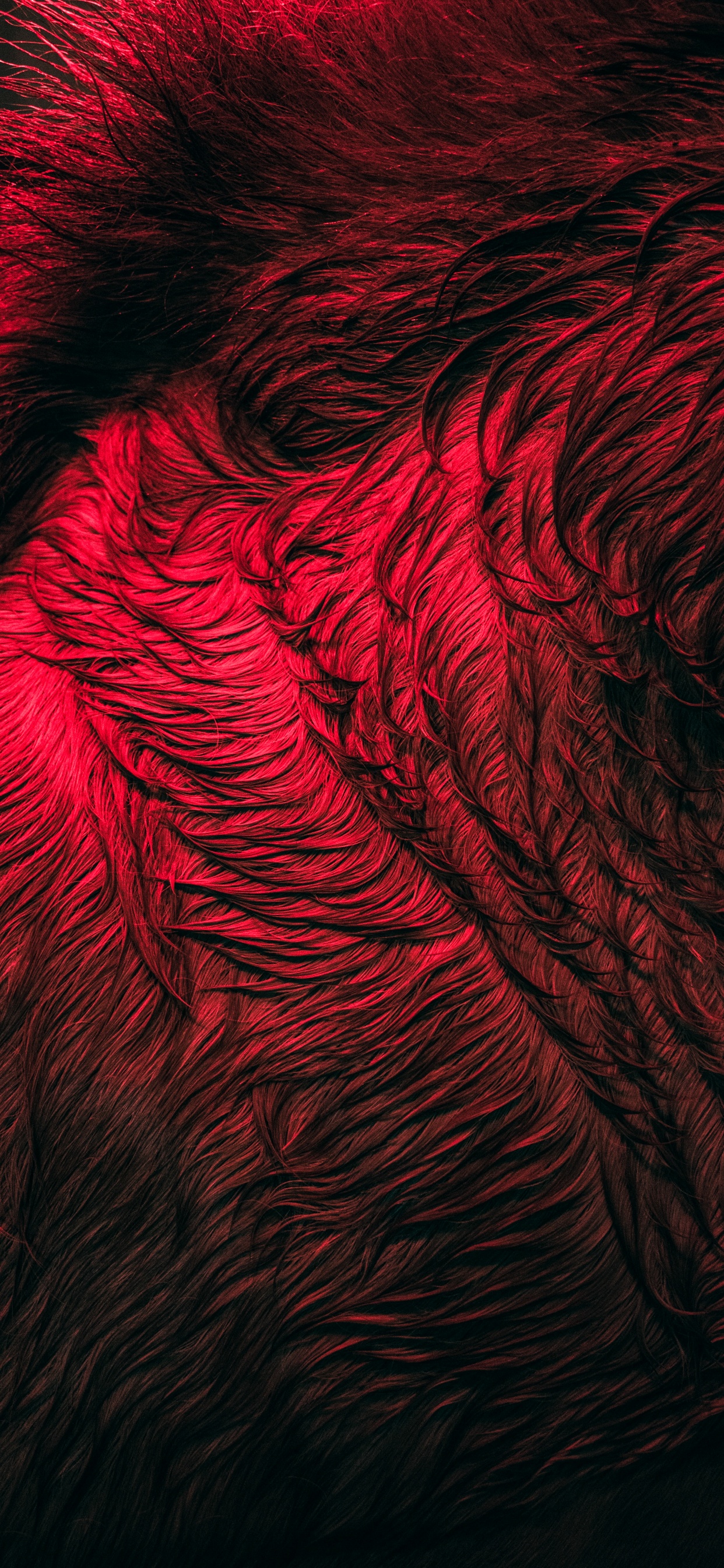 Close Up, Muster, Fraktale Kunst, Wasser, Kunst. Wallpaper in 1242x2688 Resolution