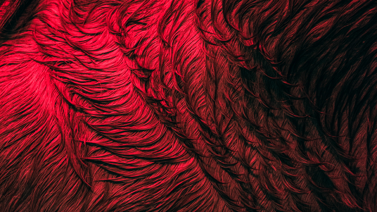 Close Up, Muster, Fraktale Kunst, Wasser, Kunst. Wallpaper in 1280x720 Resolution