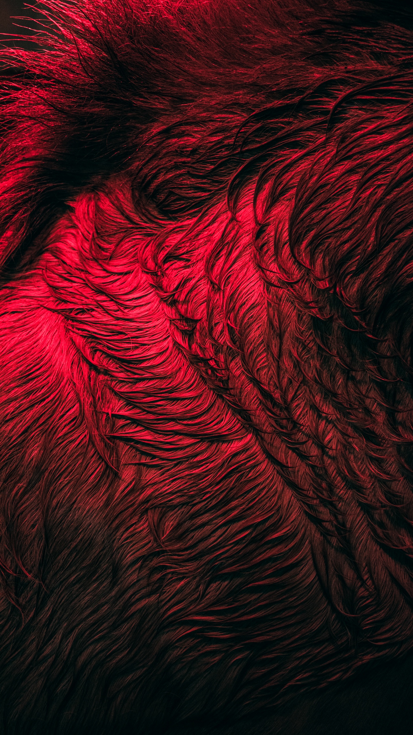 de Cerca, Patrón, Arte Fractal, Agua, Arte. Wallpaper in 1440x2560 Resolution