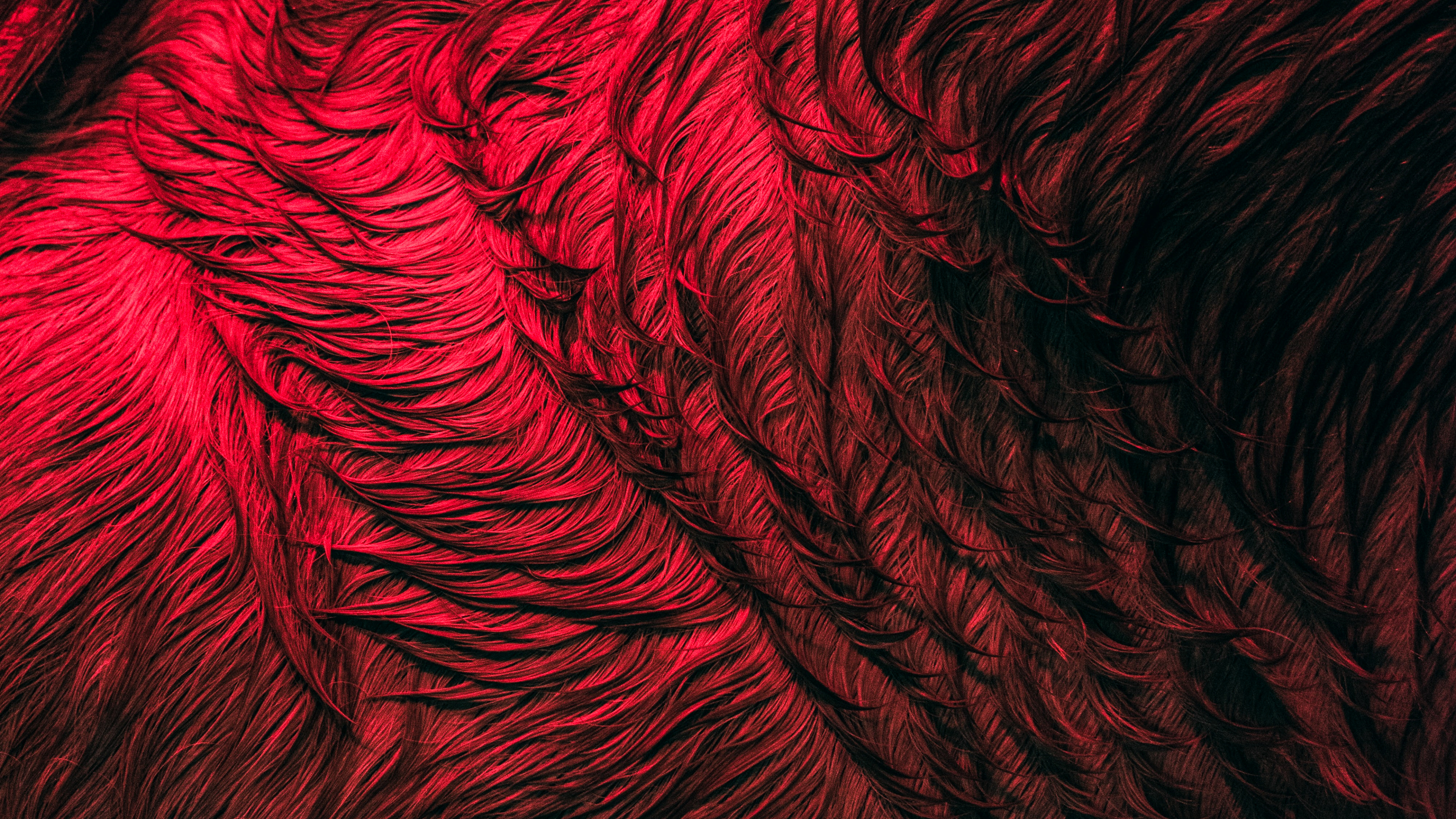 de Cerca, Patrón, Arte Fractal, Agua, Arte. Wallpaper in 3840x2160 Resolution