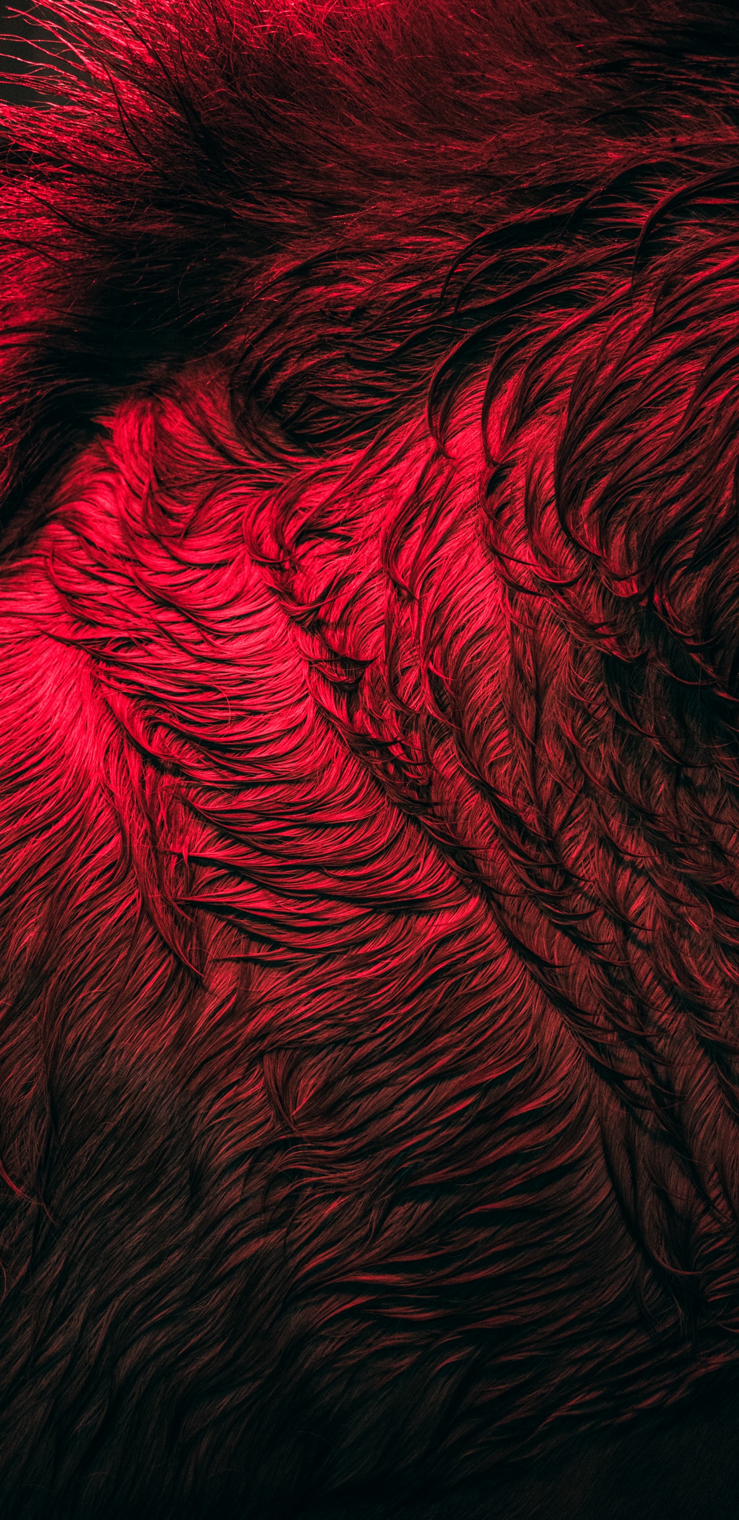 Fermer, Art Fractal, Eau, Art, de Teintes et de Nuances. Wallpaper in 1440x2960 Resolution