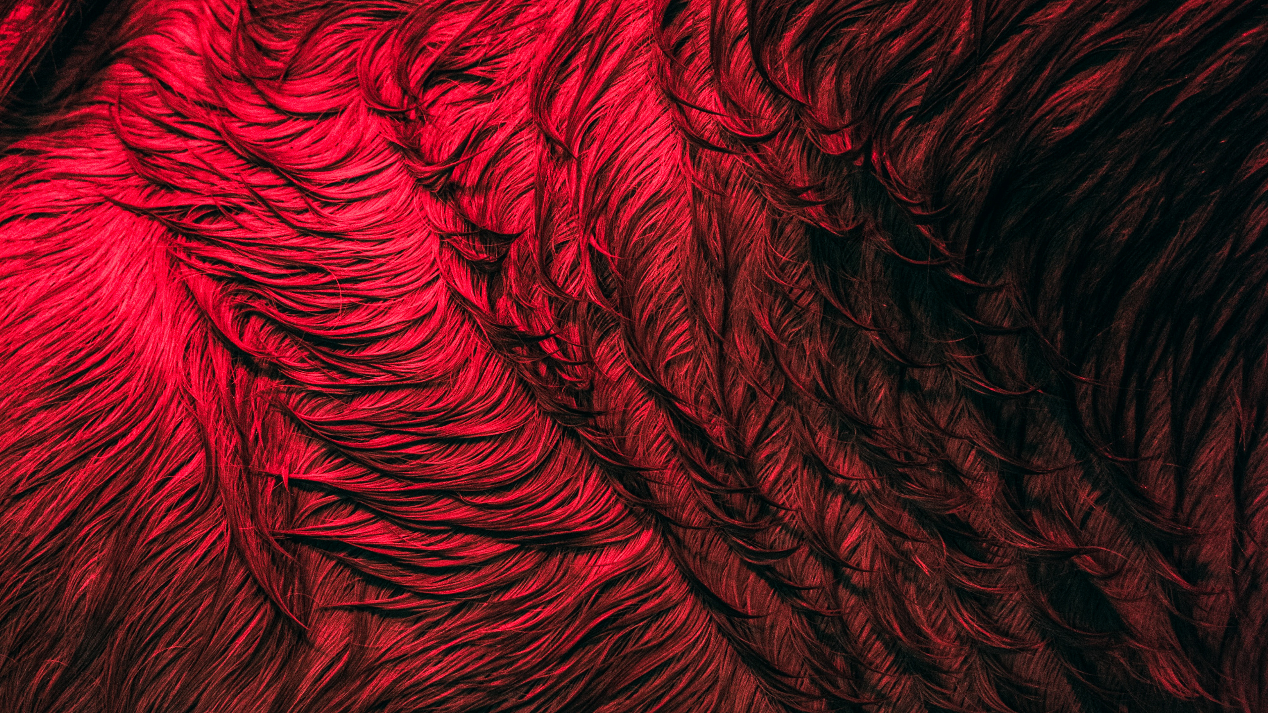 Fermer, Art Fractal, Eau, Art, de Teintes et de Nuances. Wallpaper in 2560x1440 Resolution