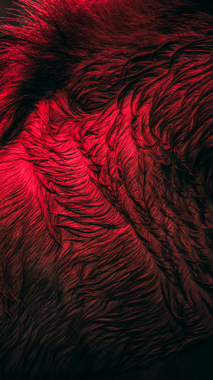 Fermer, Art Fractal, Eau, Art, de Teintes et de Nuances. Wallpaper in 750x1334 Resolution