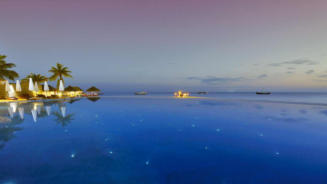 Palmier Vert Sur la Plage Pendant le Coucher du Soleil. Wallpaper in 1366x768 Resolution