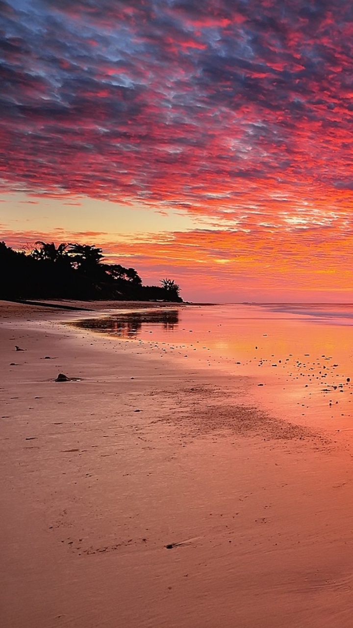Branche D'arbre Brun Sur le Sable Brun Pendant le Coucher du Soleil. Wallpaper in 720x1280 Resolution
