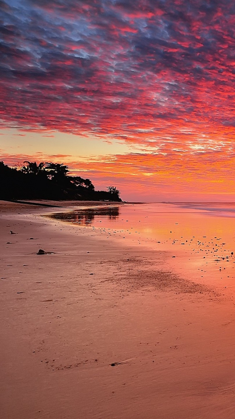 Branche D'arbre Brun Sur le Sable Brun Pendant le Coucher du Soleil. Wallpaper in 750x1334 Resolution