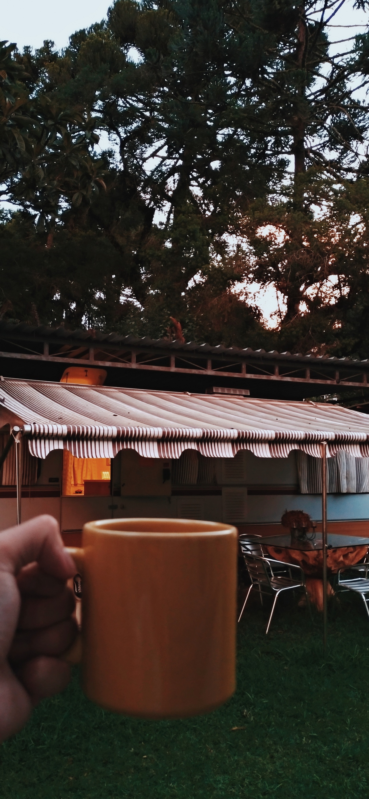 Personne Tenant Une Tasse en Céramique Brune. Wallpaper in 1242x2688 Resolution