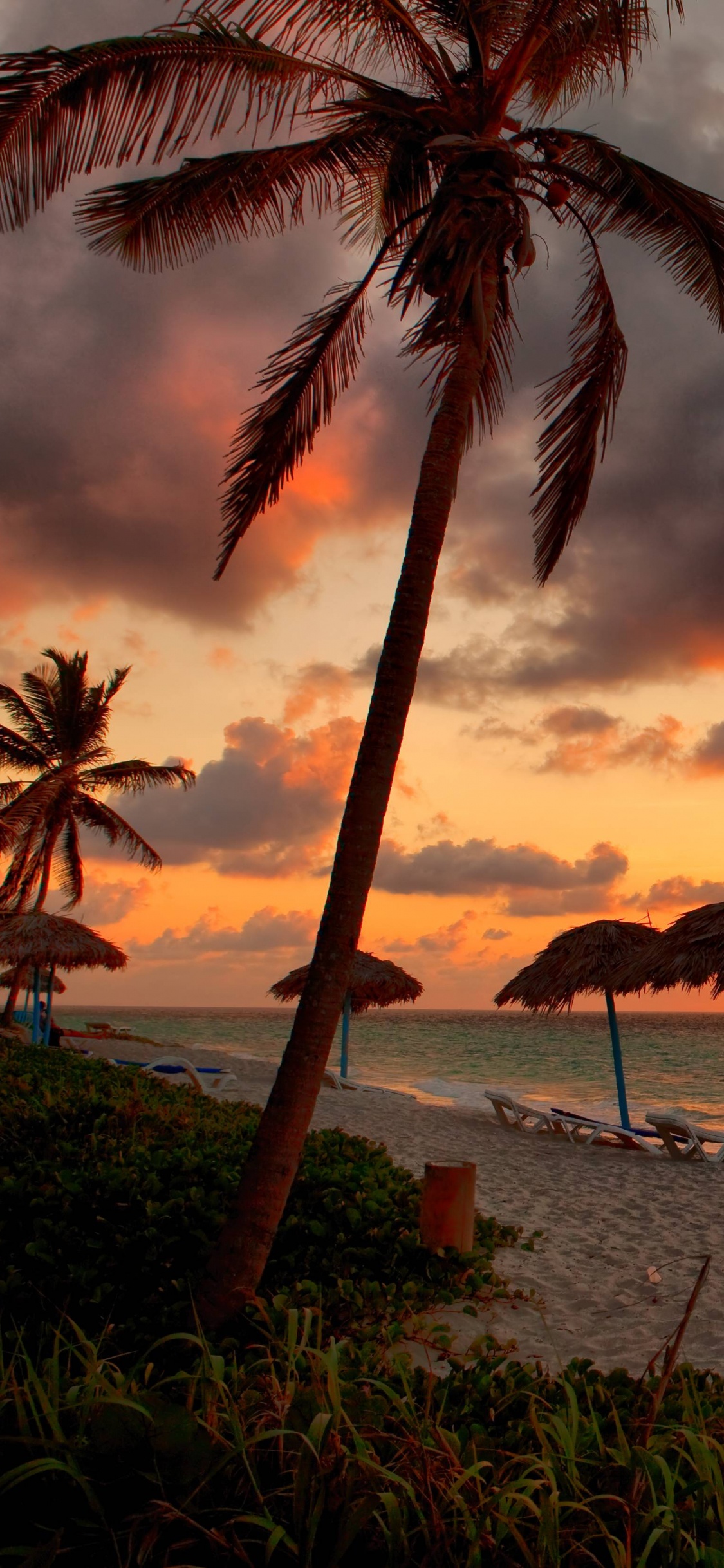 Beach Umbrellas on Beach During Sunset. Wallpaper in 1125x2436 Resolution