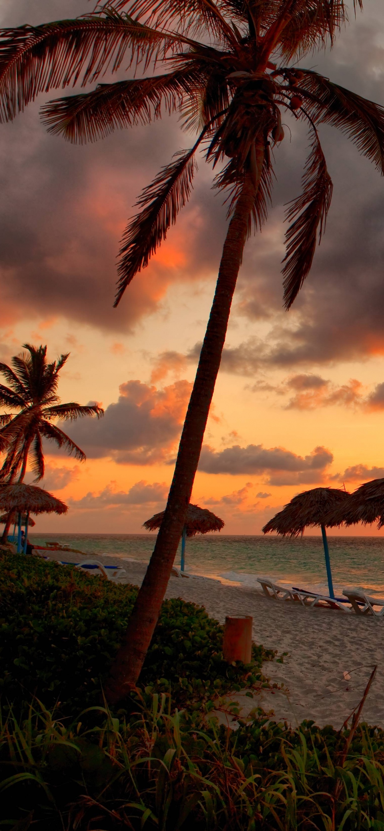 Beach Umbrellas on Beach During Sunset. Wallpaper in 1242x2688 Resolution