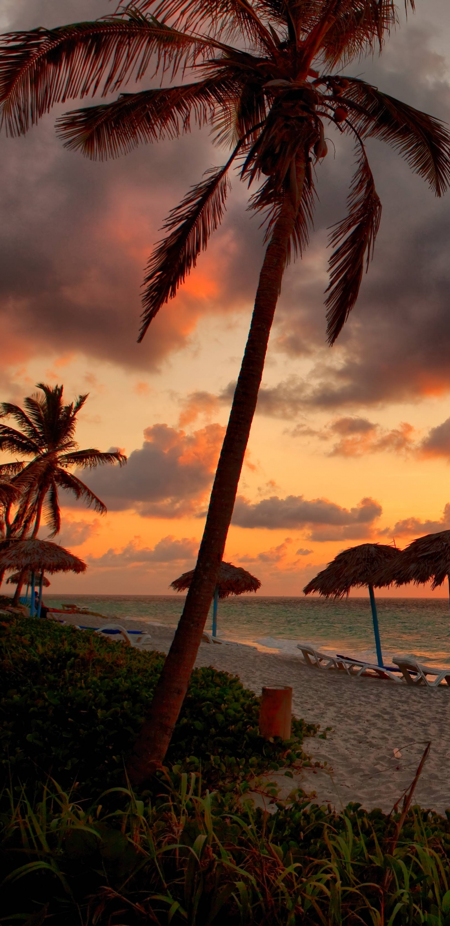 Beach Umbrellas on Beach During Sunset. Wallpaper in 1440x2960 Resolution