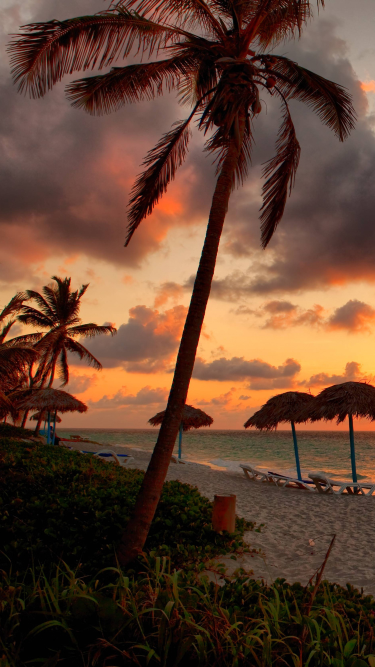 Sonnenschirme am Strand Bei Sonnenuntergang. Wallpaper in 750x1334 Resolution