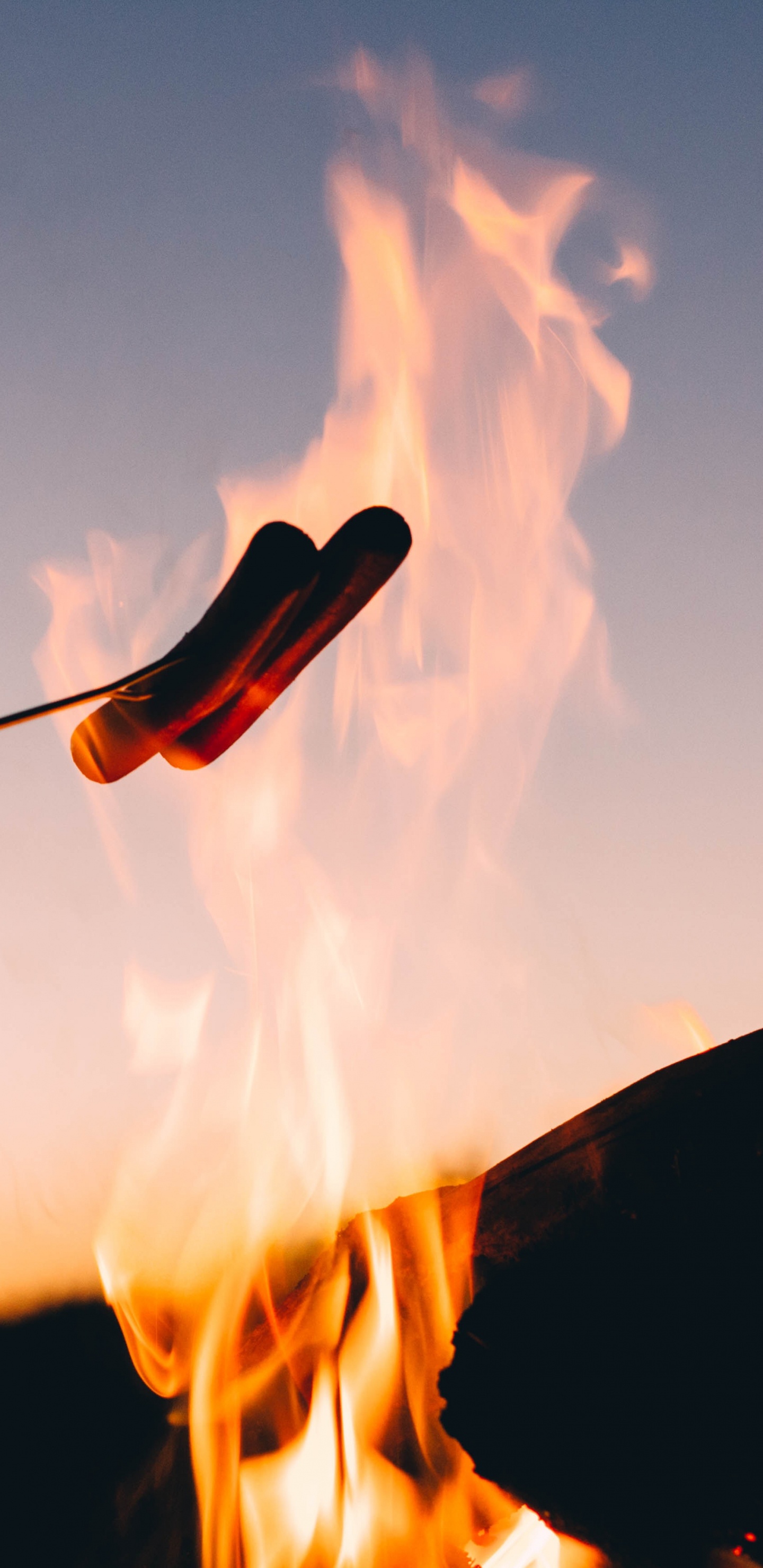 Feuer im Stock Mit Feuer. Wallpaper in 1440x2960 Resolution