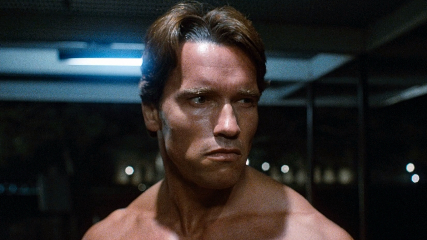 Der Terminator, Arnold Schwarzenegger, Kyle Reese, Terminator, Sarah Connor. Wallpaper in 1366x768 Resolution