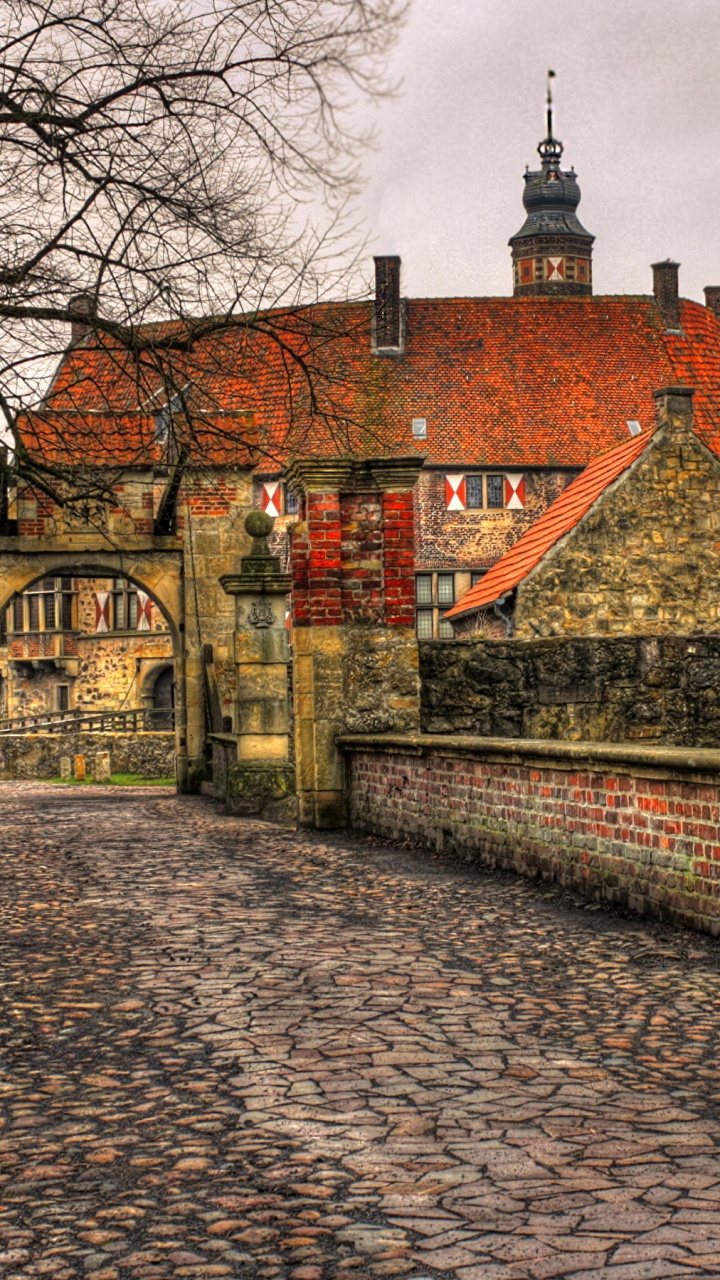 Edificio de Ladrillo Marrón Cerca de Árboles Desnudos Bajo Nubes Blancas Durante el Día. Wallpaper in 720x1280 Resolution