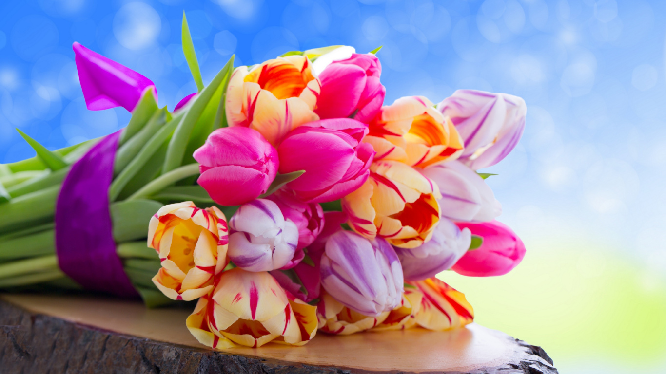 Pink and Yellow Tulips Bouquet. Wallpaper in 1366x768 Resolution