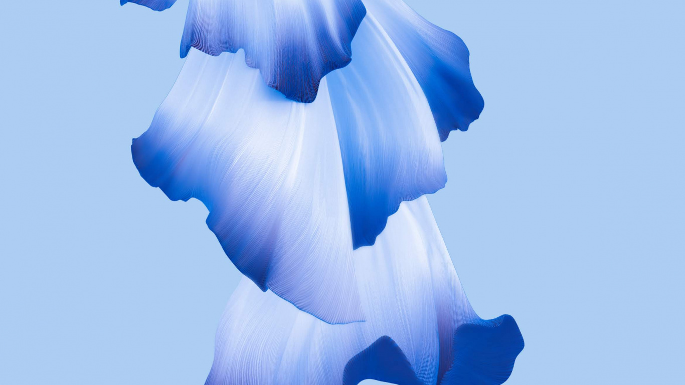 Huawei, Huawei Honor 20, Huawei Ehre 20 Pro, Ehre 20 Pro, Smartphone. Wallpaper in 1366x768 Resolution