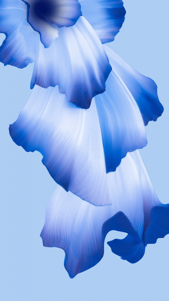 Huawei, Huawei Honor 20, Huawei Honor 20 Pro, Honor 20 Pro, Smartphone. Wallpaper in 720x1280 Resolution