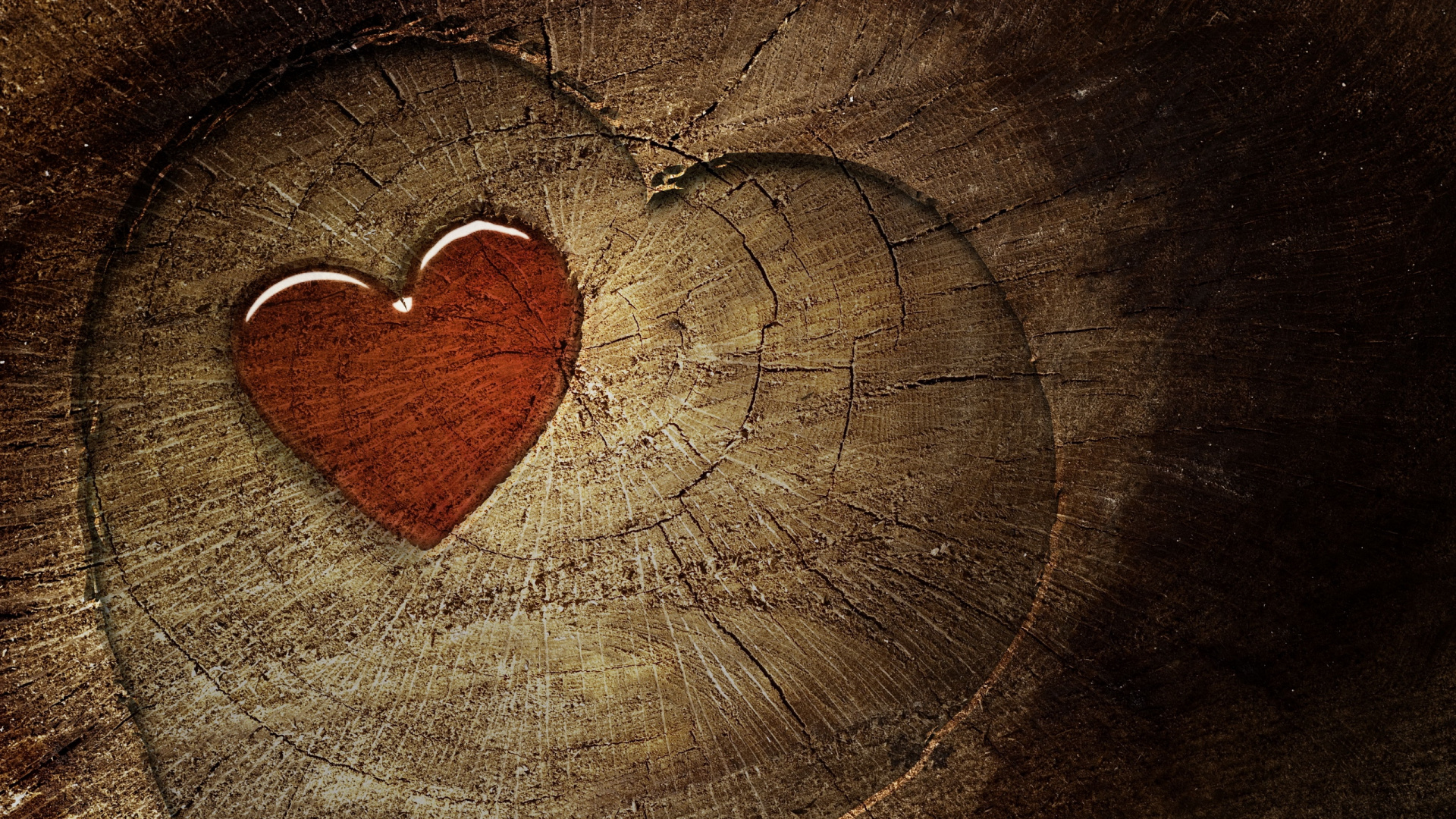Heart, Wood, Love, Organ, Tree. Wallpaper in 1920x1080 Resolution