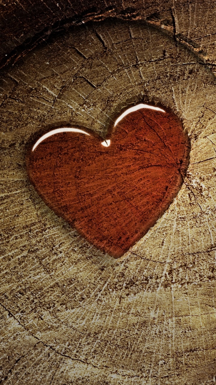 Herzen, Holz, Liebe, Organ, Baum. Wallpaper in 720x1280 Resolution