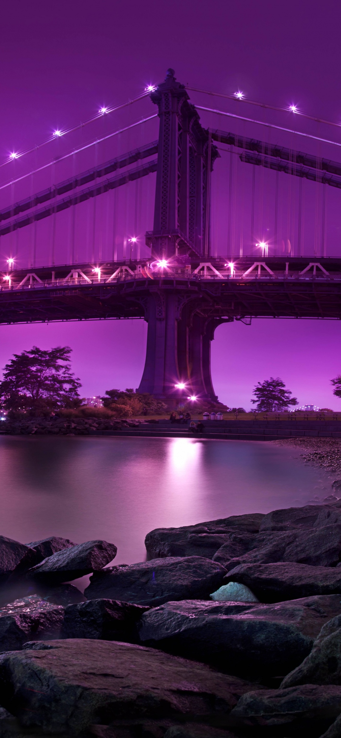 Golden Gate Bridge Bei Nacht Night. Wallpaper in 1125x2436 Resolution