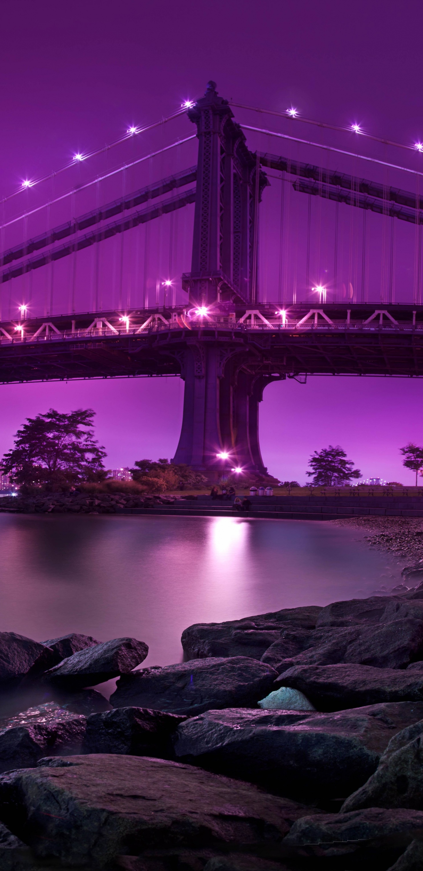 Golden Gate Bridge Bei Nacht Night. Wallpaper in 1440x2960 Resolution