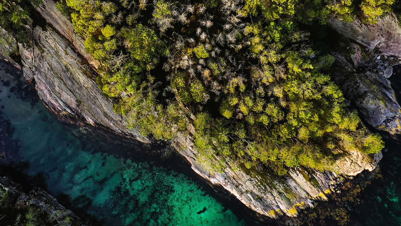 Nokia C100, Nokia, Smartphone, Nokia C2-00, Tcl 30 z. Wallpaper in 1280x720 Resolution