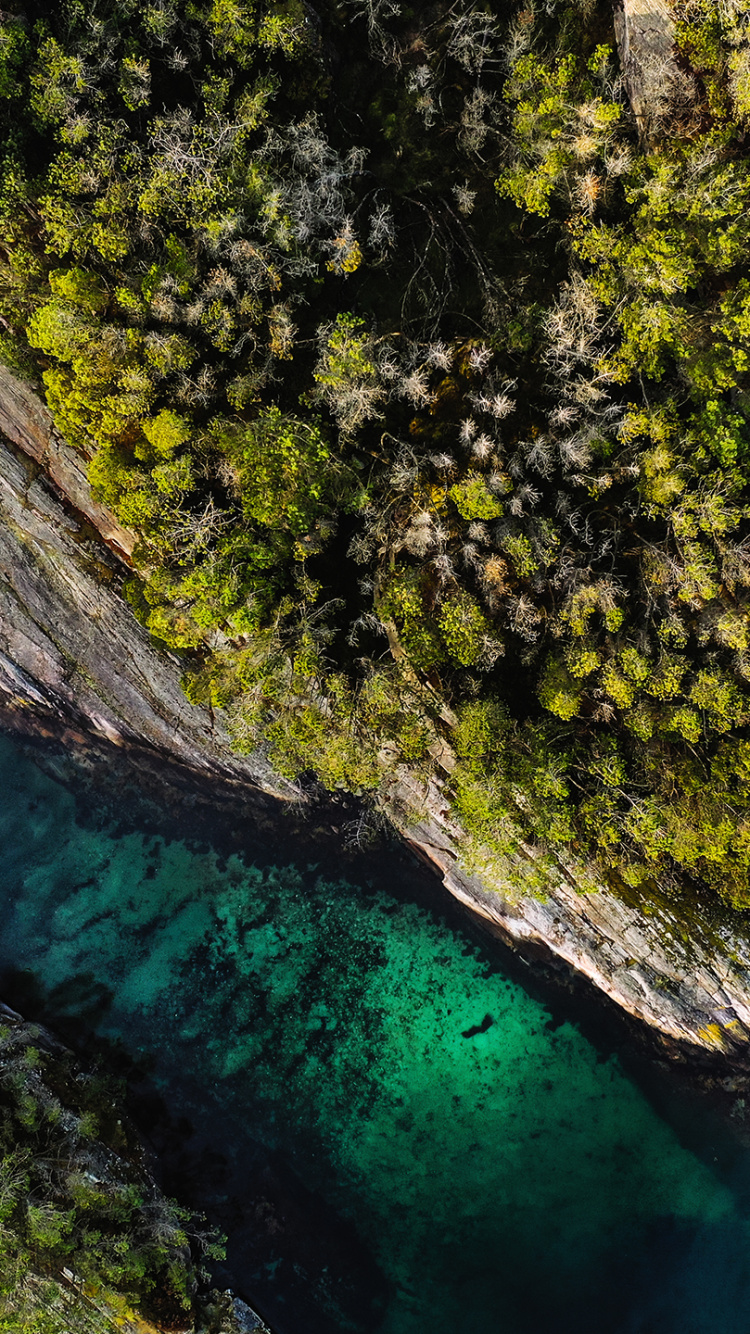 Nokia C100, Nokia, Smartphone, Nokia C2-00, Tcl 30z. Wallpaper in 750x1334 Resolution