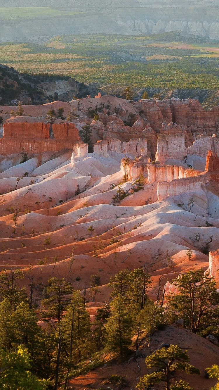 Brown Rock Formation During Daytime. Wallpaper in 750x1334 Resolution