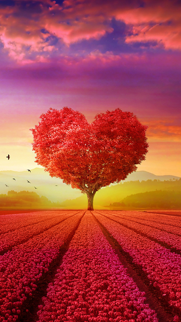 Beau Coeur Amour, Cœur, Art, Belle, Beauté. Wallpaper in 750x1334 Resolution