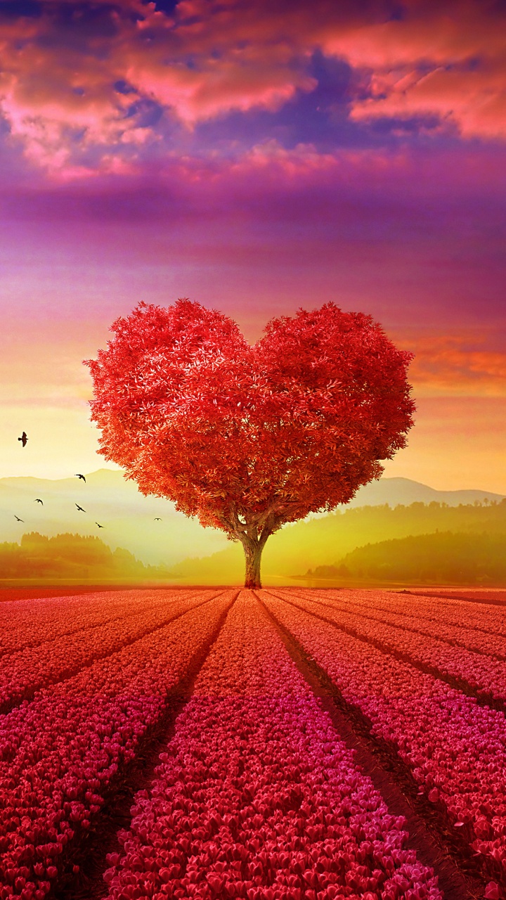 Beautiful Heart Love, Heart, Art, Beautiful, Beauty. Wallpaper in 720x1280 Resolution