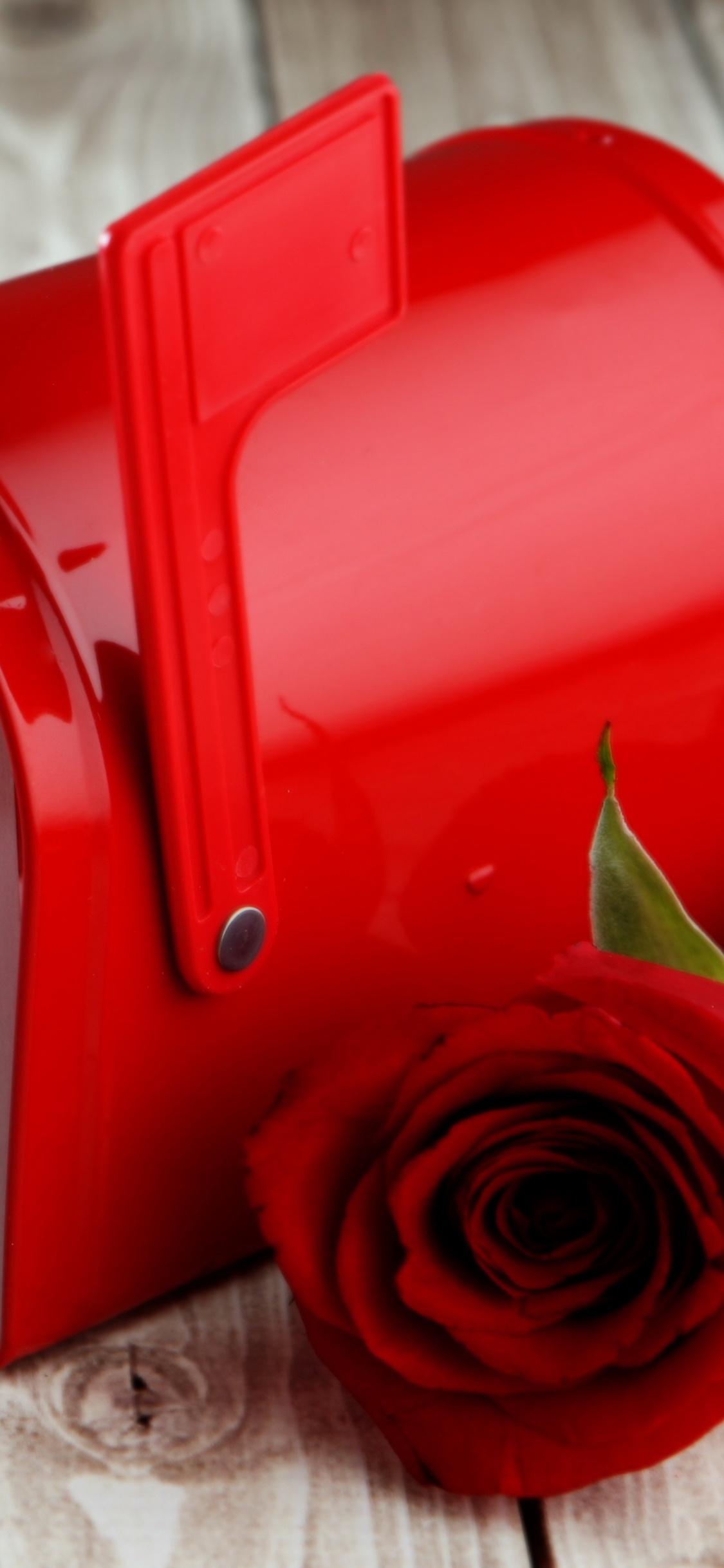 Valentines Day, Heart, Red, Ribbon, Love. Wallpaper in 1125x2436 Resolution