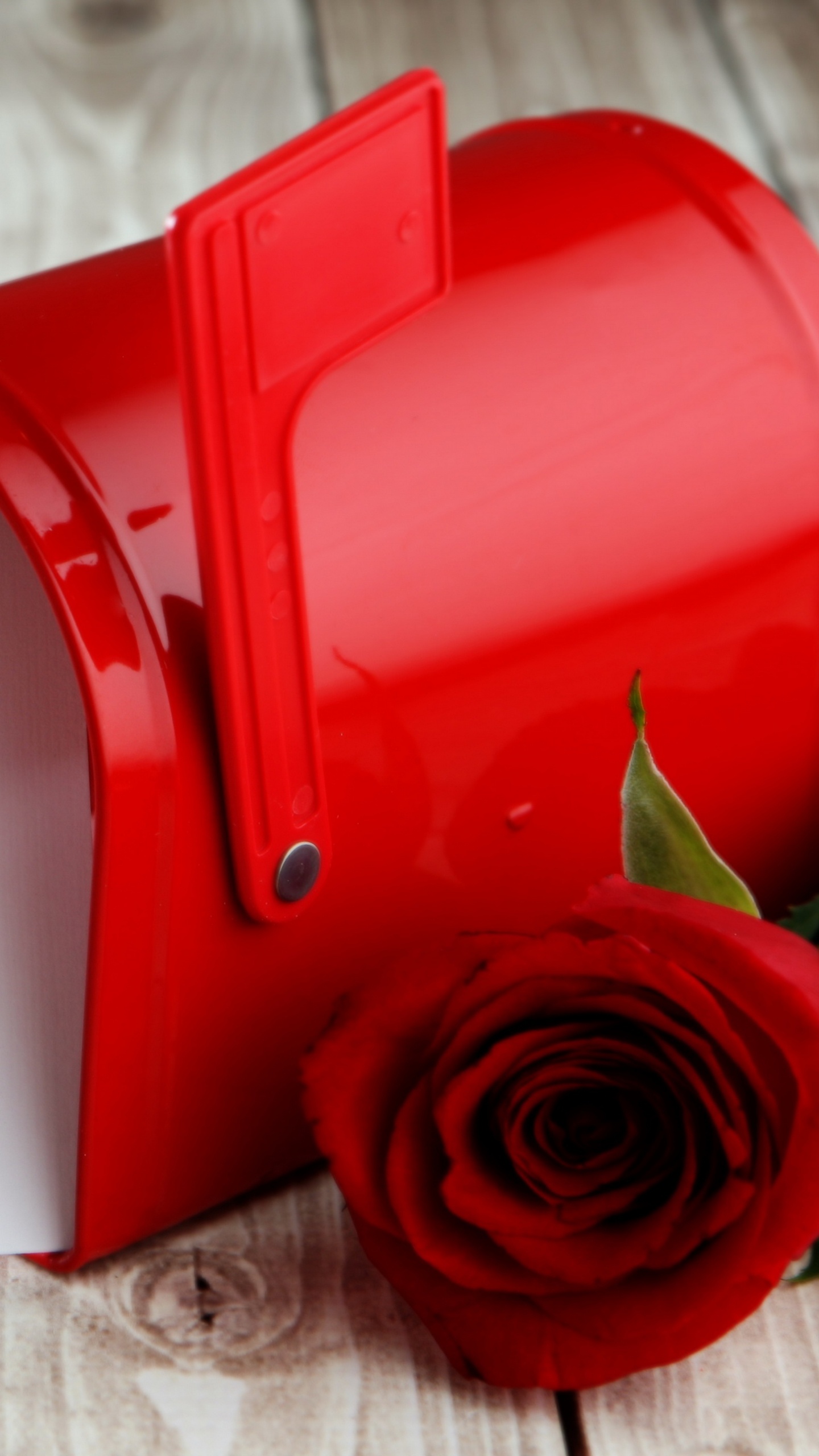 Valentines Day, Heart, Red, Ribbon, Love. Wallpaper in 1440x2560 Resolution