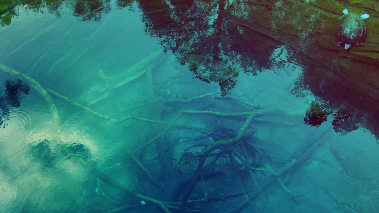 Peinture Abstraite Brune et Verte. Wallpaper in 1280x720 Resolution